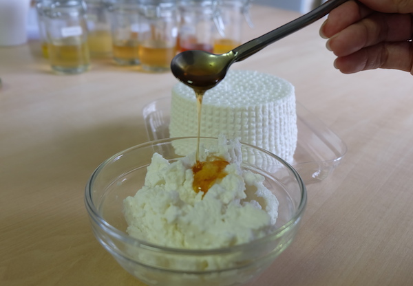 リコッタに合う“はちみつ” を、12種から探る！《前編》