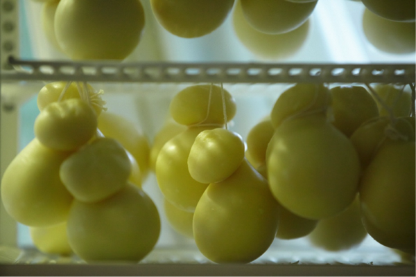 カチョカヴァッロが、“馬のチーズ”と呼ばれるワケは？