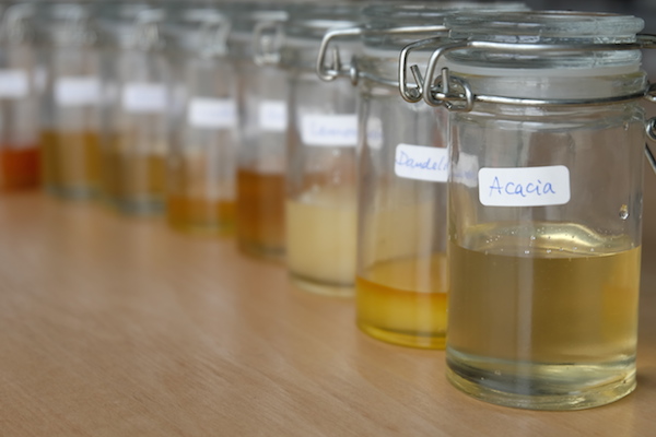 リコッタに合う“はちみつ” を、12種から探る！《後編》