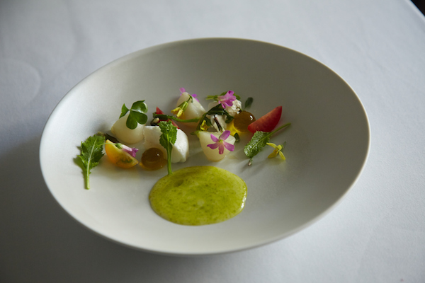 04_rnsq_yoshinokatsuji