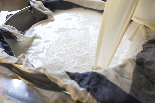 ミルクからチーズへ