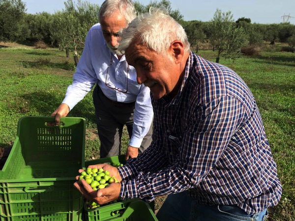 11_pantaleo-producers