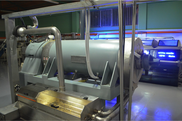 14_olive-oil-separating