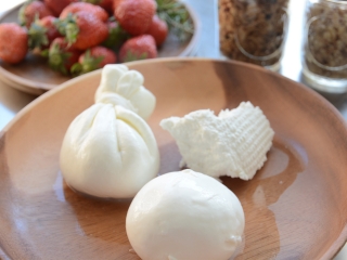 CHEESE STAND 朝フレッシュセット