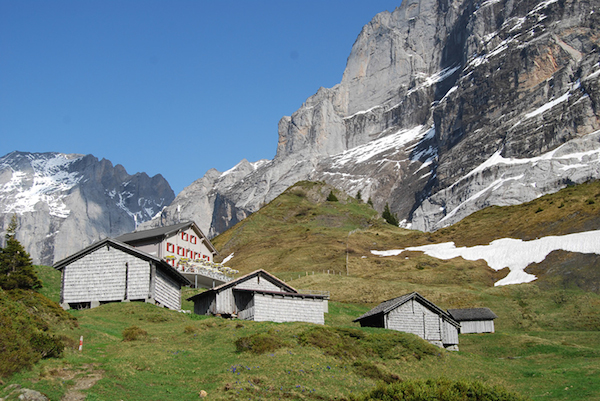 Alp_Scheidegg_01