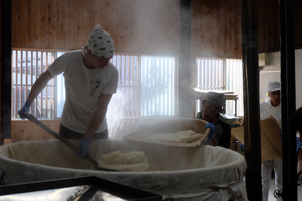 チーズとつながる発酵。麹（こうじ）の蔵へ　|　川口糀店（神奈川）
