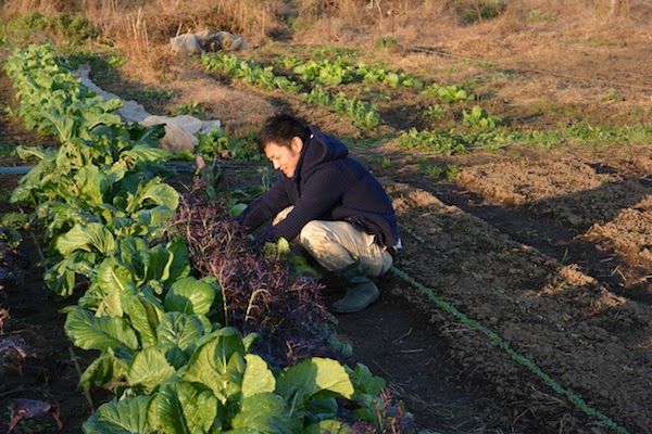 藤田承紀さんの畑
