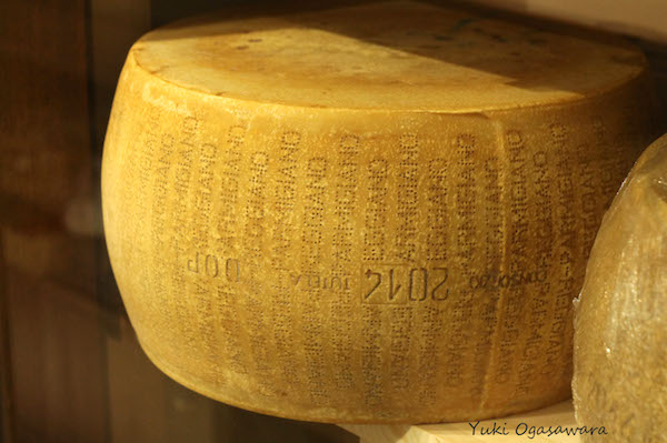 ParmigianoReggiano