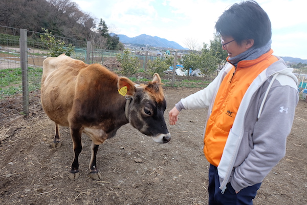 日本一小さな牧場は、牛乳大好き少年の夢から生まれた《牧歌 前編》