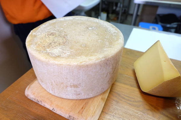 hard type cheese of bocca