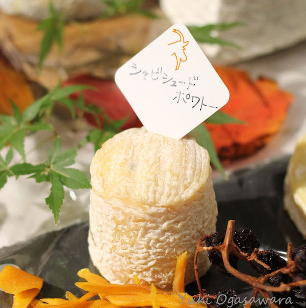 chevre cheese