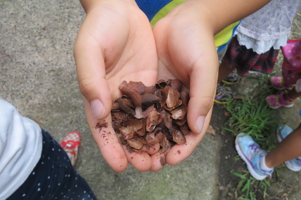 カフェモカの香りがする牧場？未来を見据えた酪農《磯沼ミルクファーム 後編》