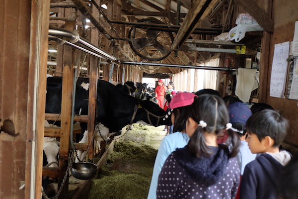 増田牧場での社会科見学