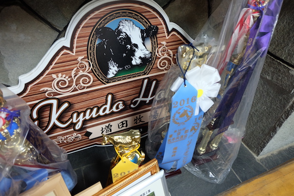 masuda farm trophies