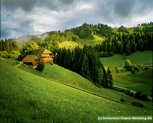 rev_EMM_Scenicview (2)