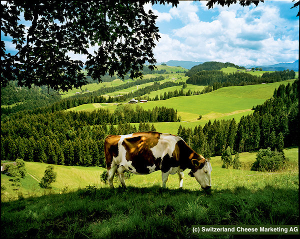 rev_EMM_Scenicview (6)