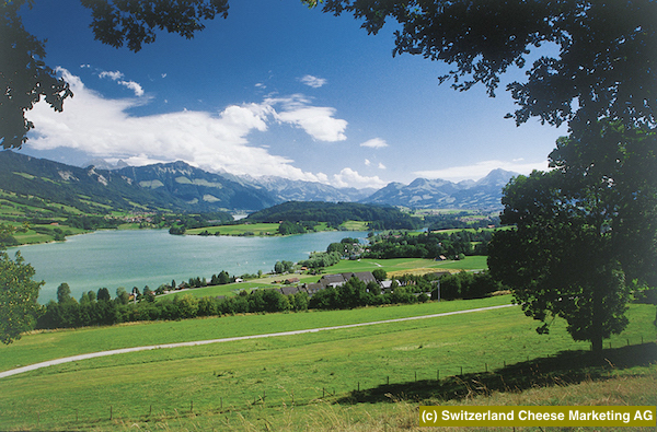 rev_landscape_gruyere10