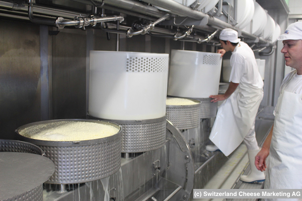 rev_production_factory12