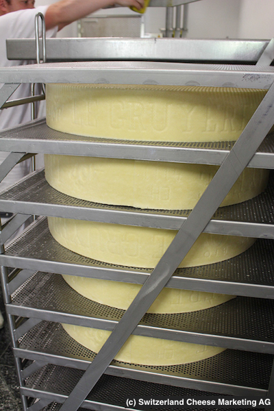 rev_production_factory13