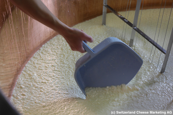 rev_production_factory26