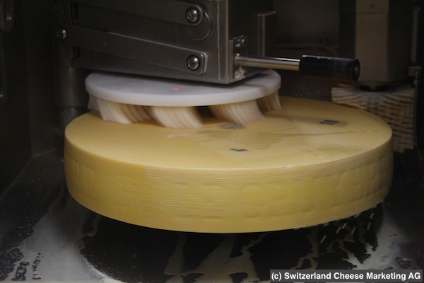 rev_production_factory43