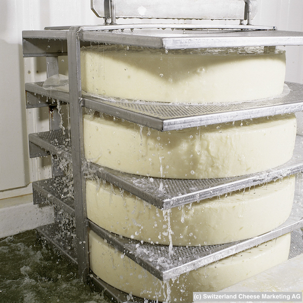 rev_production_factory51