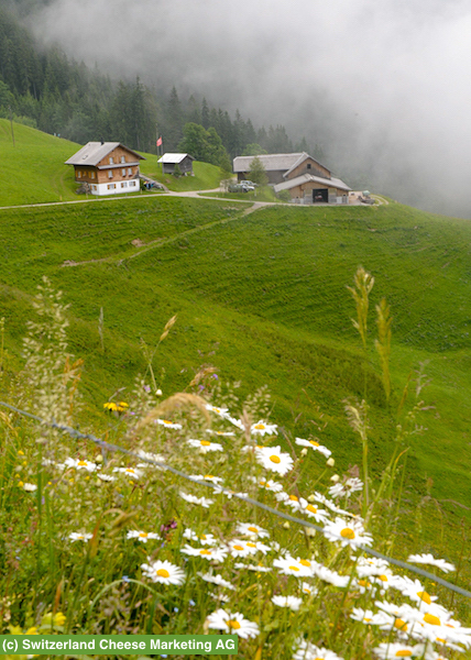 rev_sbrinz_07_SBR_Bleiki_01