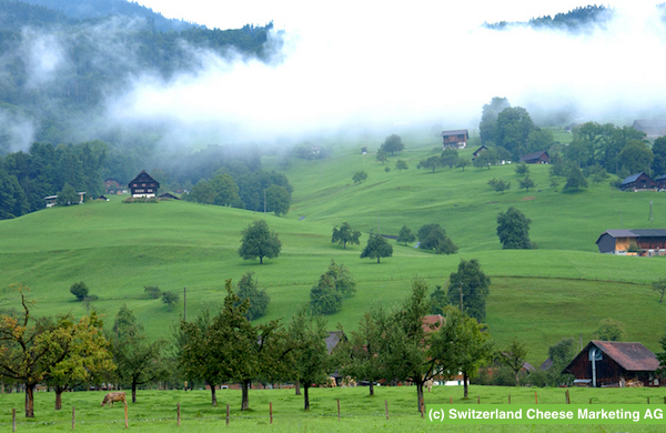 rev_sbrinz_08_SBR_Landschaft Giswil