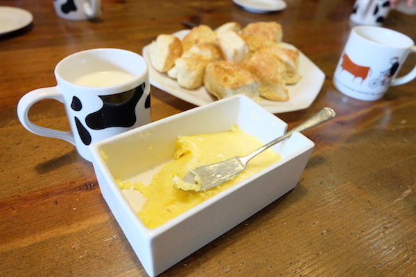 shintone_a_06butterandscone