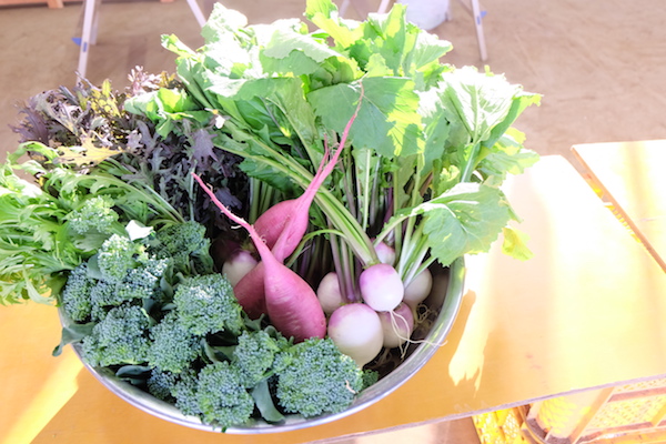 モッツァレラチーズが、畑で美味しく変身！《Spot and Table in 久松農園》